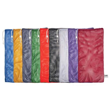 Champion Sports 24 in. x 48 in. Nylon Mesh Bag, Blue 13269